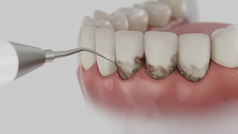 Reliable Dental contractor in Wildwood Lake, TN by Dentist Open Now